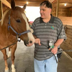 brown horse beside a man